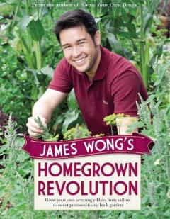 Coperta cărții James Wong's Homegrown Revolution