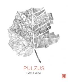 Pulzus