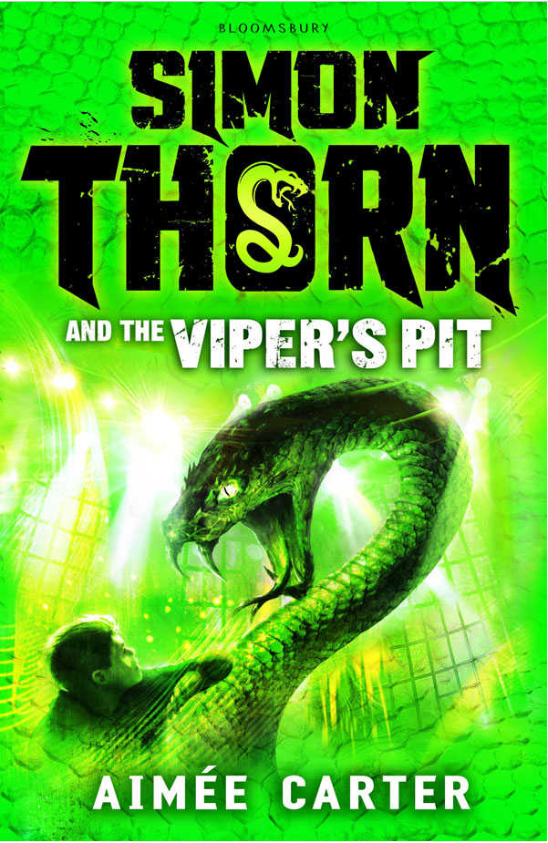 Simon Thorn and the Viper&#039;s Pit