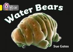 Coperta cărții Water Bears