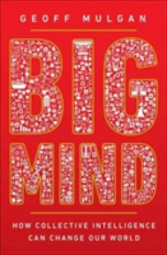 Big Mind