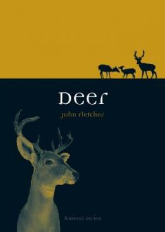Coperta cărții Deer
