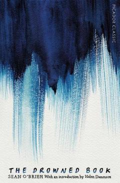 Coperta cărții The Drowned Book