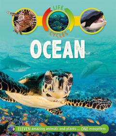 Life Cycles - Ocean