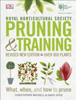 RHS Pruning &amp; Training