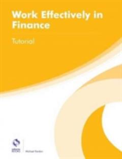 Coperta cărții Work Effectively in Finance Tutorial