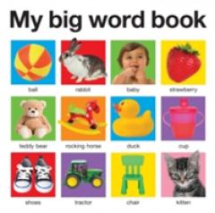 My Big Word Book