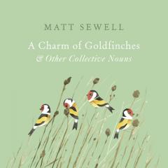 Coperta cărții A Charm of Goldfinches and Other Collective Nouns