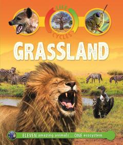 Grassland