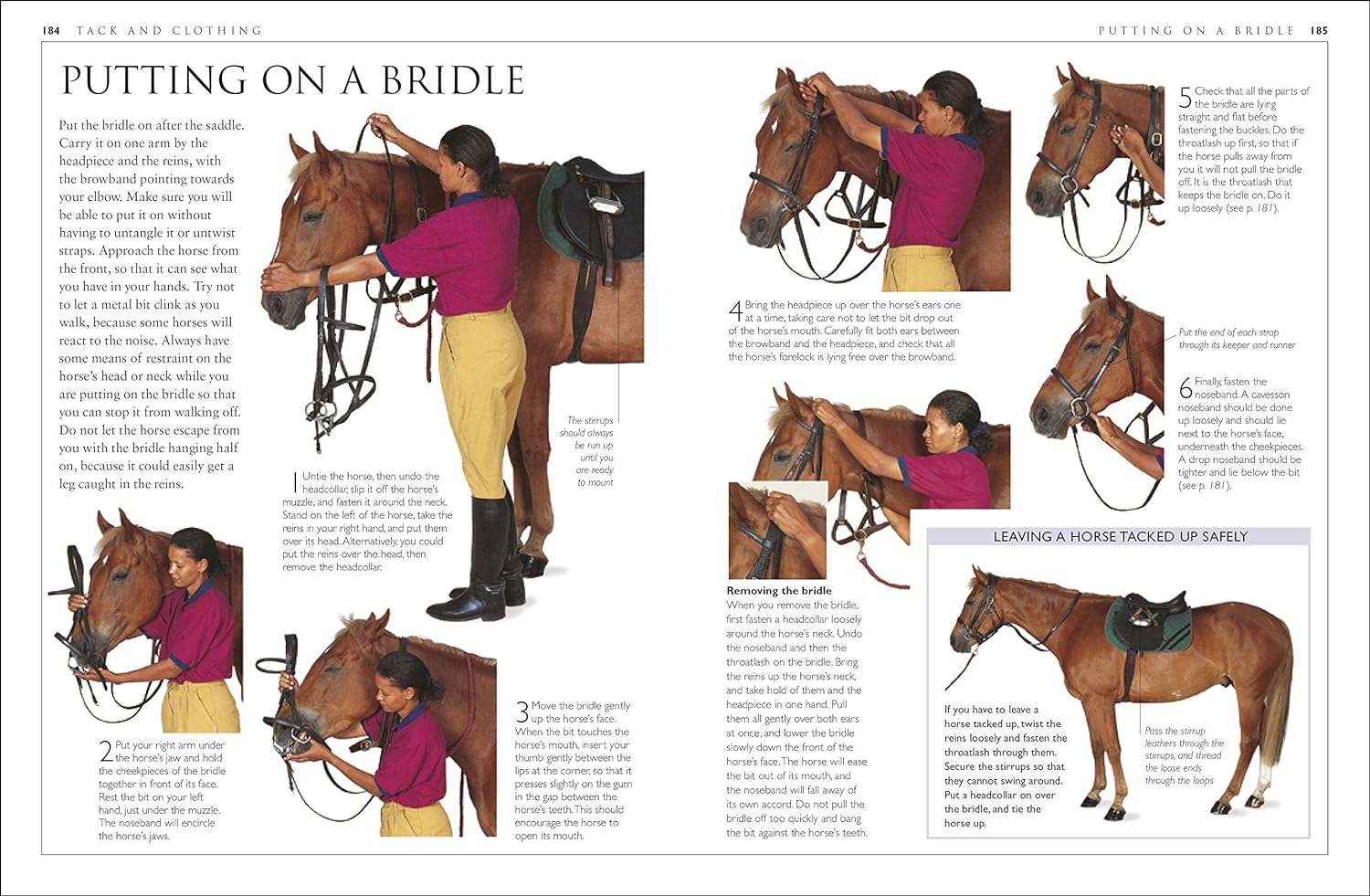 ＨＯＲＳＥ　ＣＡＲＥ　ＭＡＮＵＡＬ The complete horse care manual : Vogel, Colin : Free