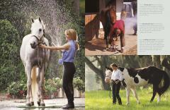 Complete Horse Care Manual