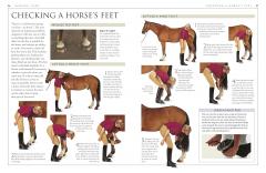 Complete Horse Care Manual