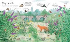 Big Picture Book of Outdoors