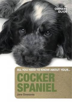 Cocker Spaniel