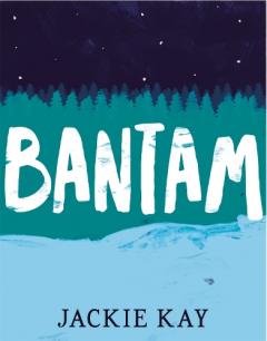 Coperta cărții Bantam