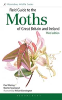 Field Guide to the Moths of Great Britain and Ireland