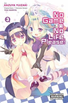 No Game No Life, Please! - Volume 3