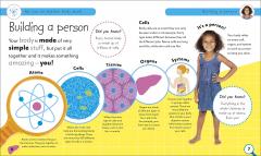 My Top to Bottom Body Book