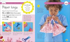 My Top to Bottom Body Book