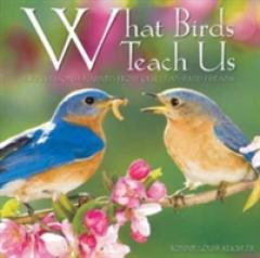 What Birds Teach Us