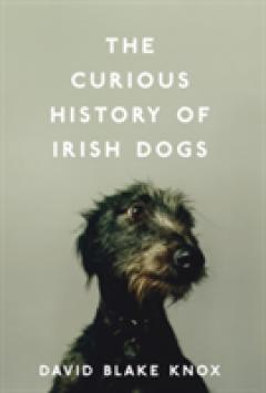 The Curious History of Irish Dogs