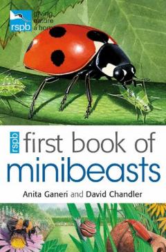 Coperta cărții RSPB First Book Of Minibeasts