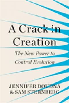 A Crack in Creation