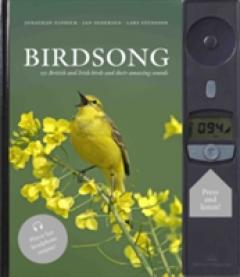 Birdsong