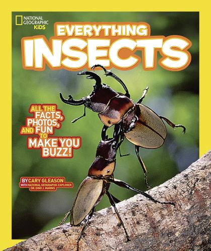 Everything Insects - National Geographic