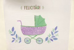 Felicitare - Welcome Baby - Felicitari