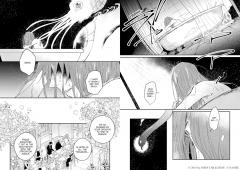 Witch of Thistle Castle - Volume 2