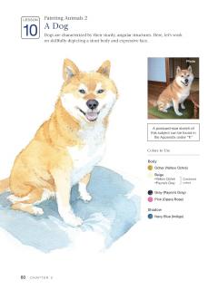 A Beginner's Guide to Watercolor Painting