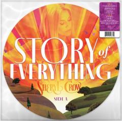 Story of Everything - Vinyl