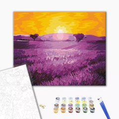 Set pictura pe numere - Sunrise over lavender