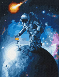 Set pictura pe numere - Flowers of the Universe