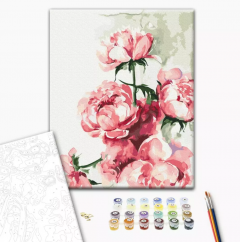 Set pictura pe numere - Karolina Bundash - Watercolor peonies