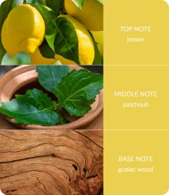 Lumanare parfumata - Patchouli and Guaiac Wood
