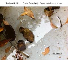 Sonatas & Impromptus