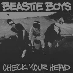 Check Your Head - Vinyl LP4