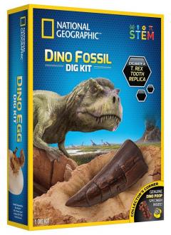 Kit educativ - Sa cautam dinozauri