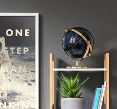 Glob constelatii - Night Sky Globe