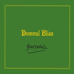 Domnul Bliss