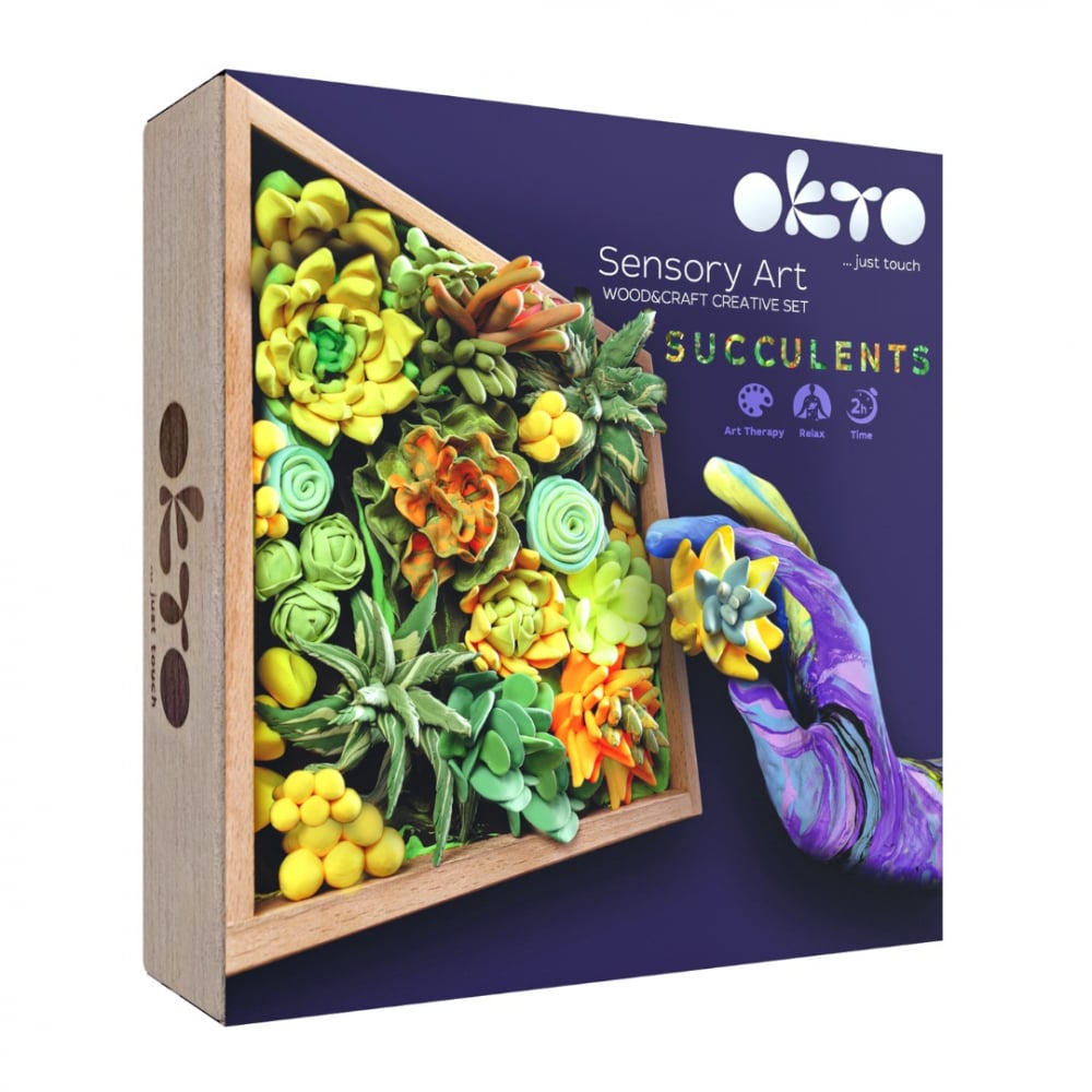 Set creativ - Succulents