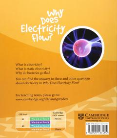 Why Does Electricity Flow?