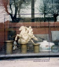 Coperta cărții Shadows of Reality