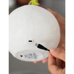 Lampa - The Little Prince