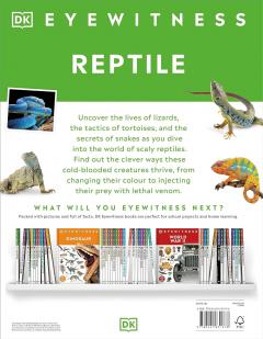 Reptile