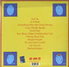 Everything Else Has Gone Wrong (2xVinyl Deluxe Edition, 45 RPM)