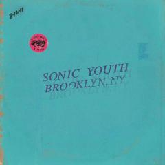 Live In Brooklyn 2011 - Vinyl