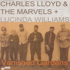 Vanished Gardens - Vinyl